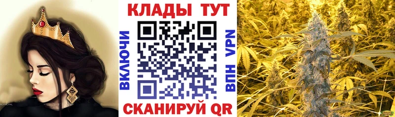 Где можно купить наркотики Арамиль Cocaine  Псилоцибиновые грибы  Alpha-PVP  ГАШИШ  Мефедрон  Бошки Шишки 