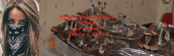 бошки Приозерск