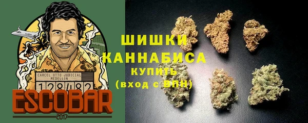 PSILOCYBIN Алексеевка