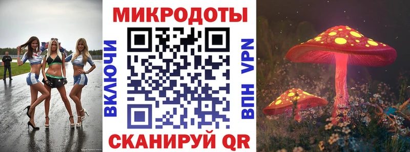 купить наркотик  hydra ссылки  Галлюциногенные грибы мицелий  Арамиль 